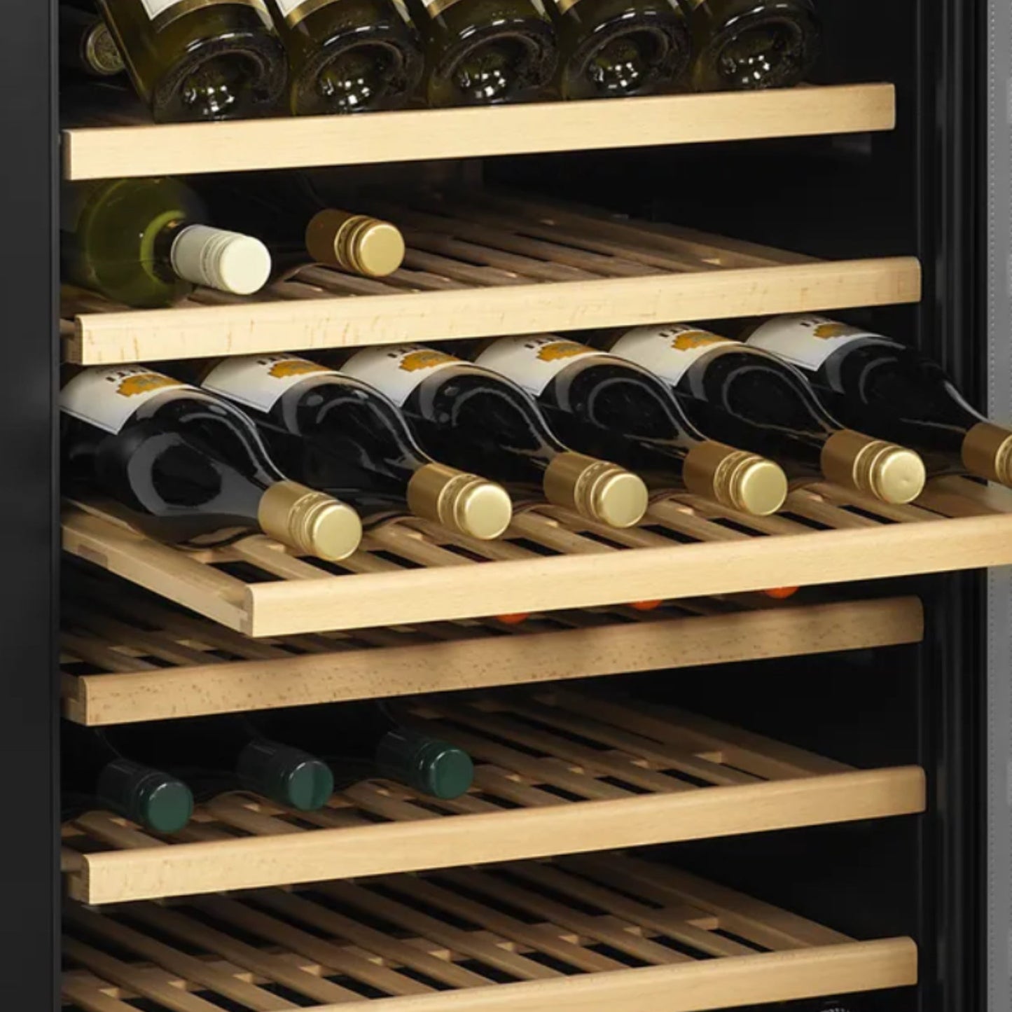 Wine bottles arranged in a wine cooler with wooden shelves.